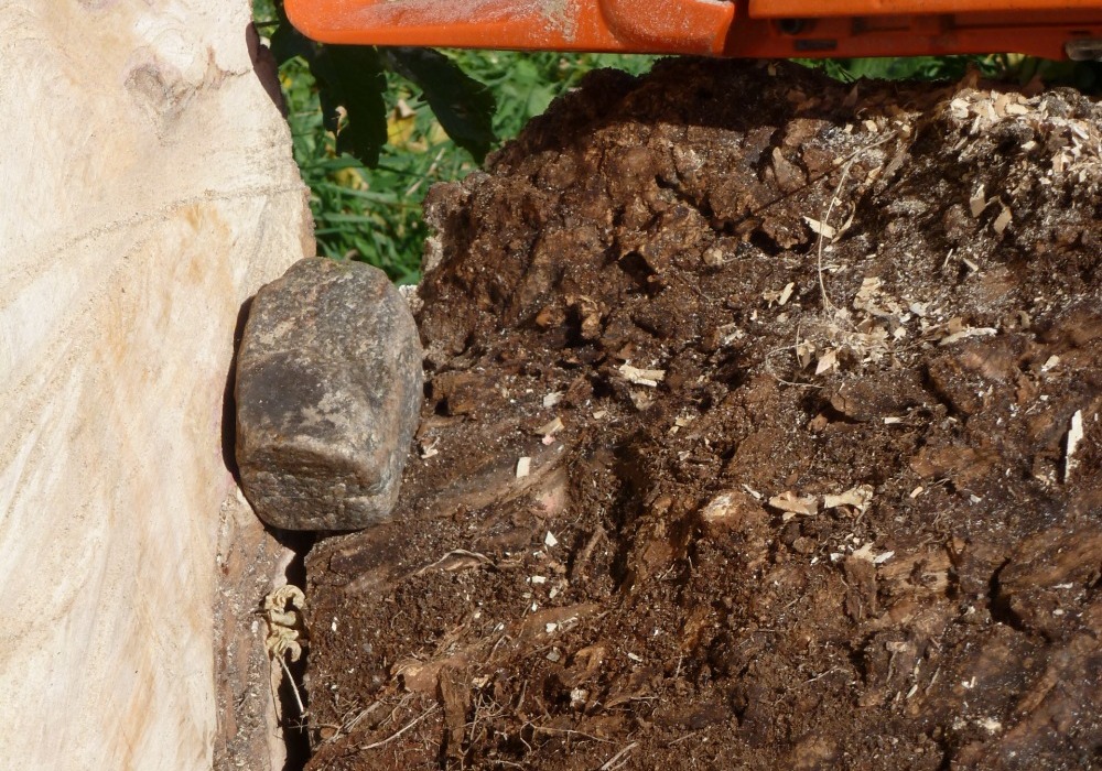 Rock in the center of the tree